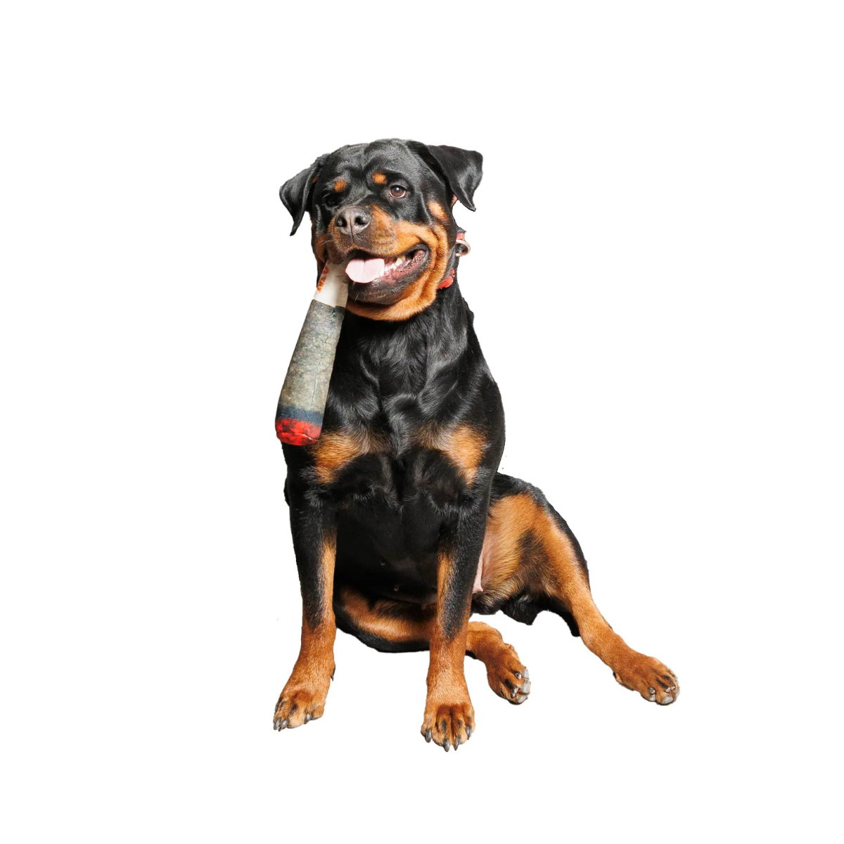 Funny Joint Dog Chew Toy – Squeaky Plush Gift for Pets