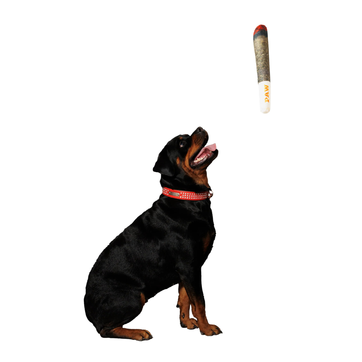 Funny Joint Dog Chew Toy – Squeaky Plush Gift for Pets