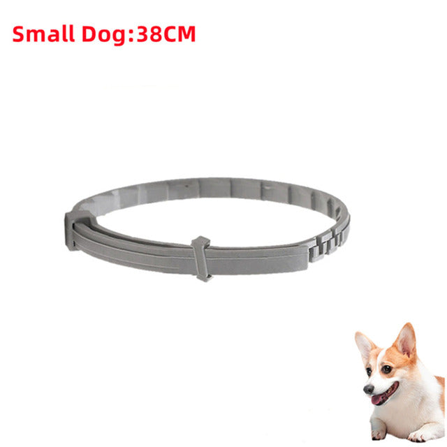 Flea & Tick Collar for Cats & Dogs – Adjustable Anti-Parasitic Protection