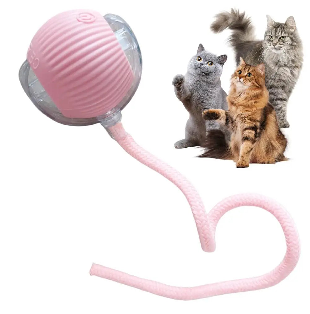 Automatic Rolling Ball with Tail Lamp – Smart Cat Toy