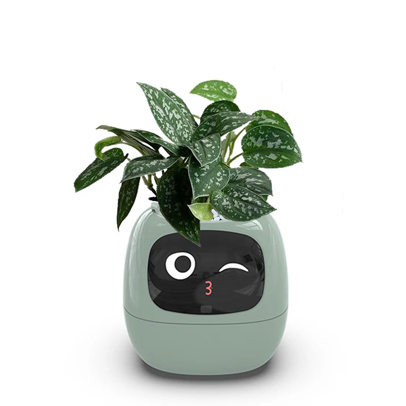 Smart Planter with Automatic Watering – AI Flowerpot & Digital Frame