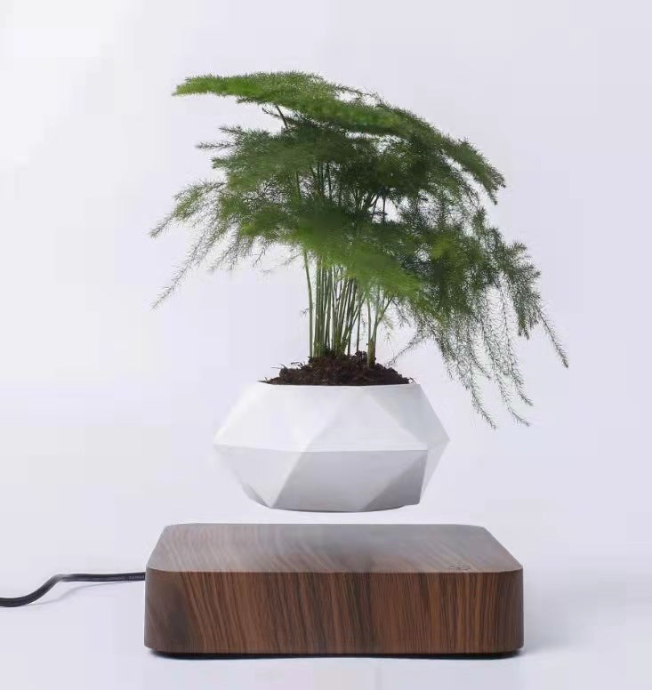 Levitating Flower Pot with 360° Rotation