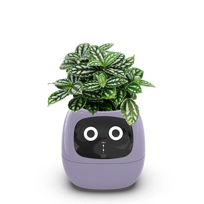 Smart Planter with Automatic Watering – AI Flowerpot & Digital Frame