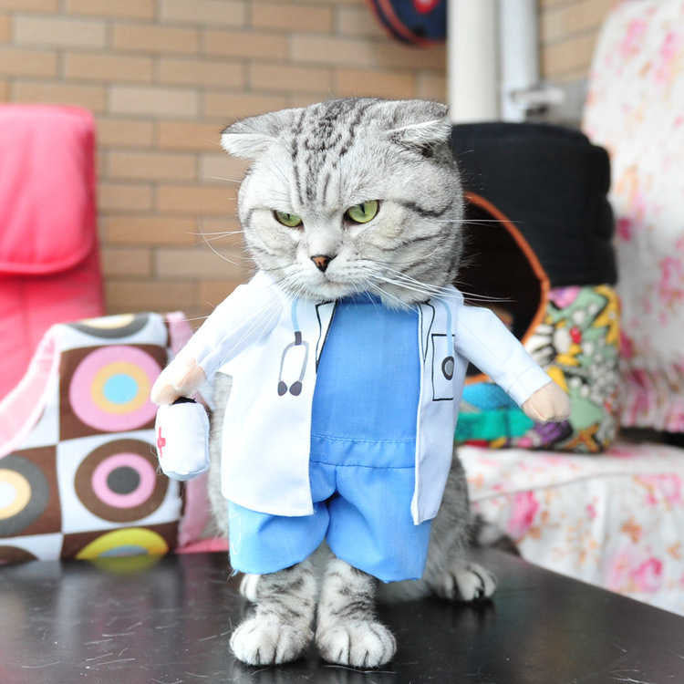 Funny Pet Costumes – Hilarious Halloween Outfits for Cats & Dogs