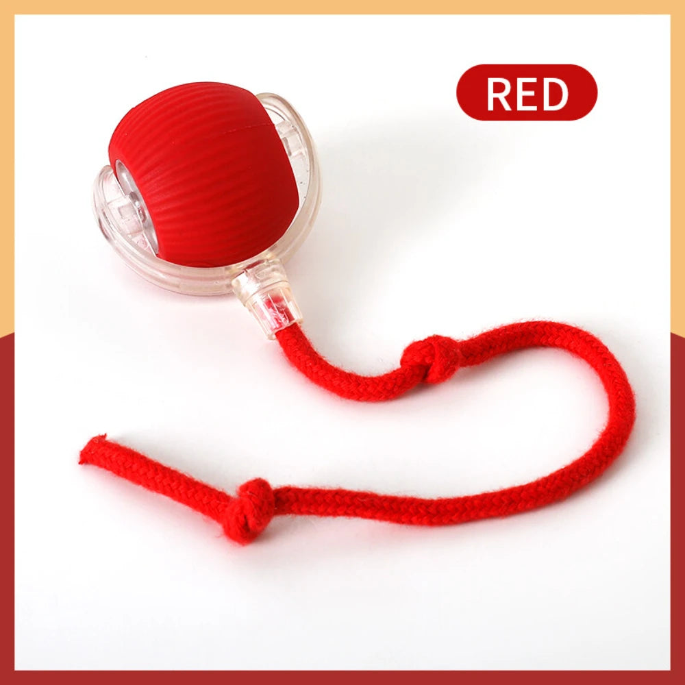 Automatic Rolling Ball with Tail Lamp – Smart Cat Toy