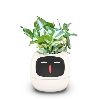 Smart Planter with Automatic Watering – AI Flowerpot & Digital Frame