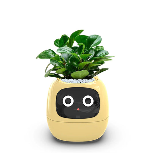 Smart Planter with Automatic Watering – AI Flowerpot & Digital Frame
