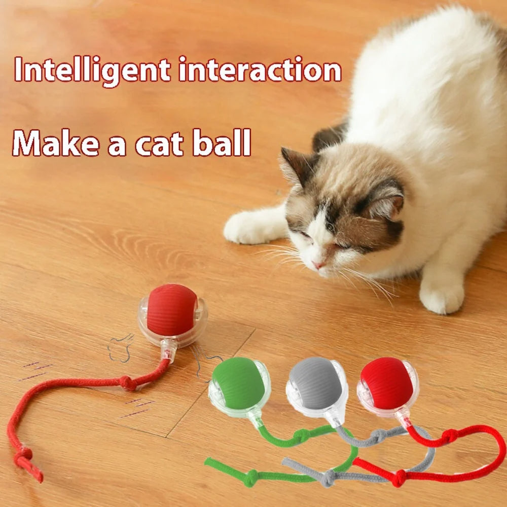 Automatic Rolling Ball with Tail Lamp – Smart Cat Toy