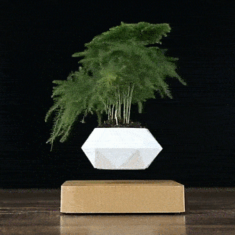 Levitating Flower Pot with 360° Rotation
