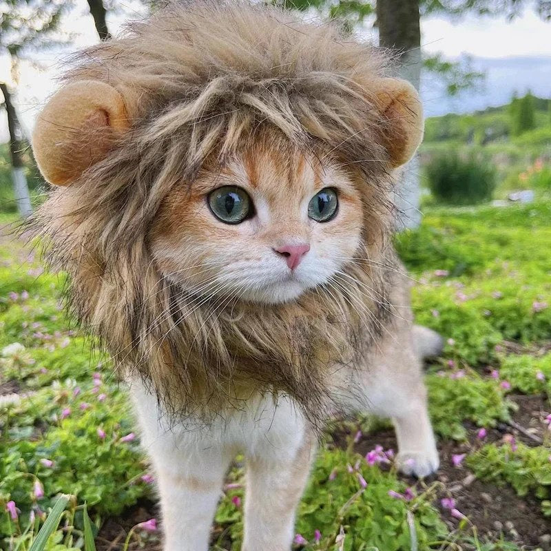 Cat Lion Mane – Costume for Cats & Small Dogs