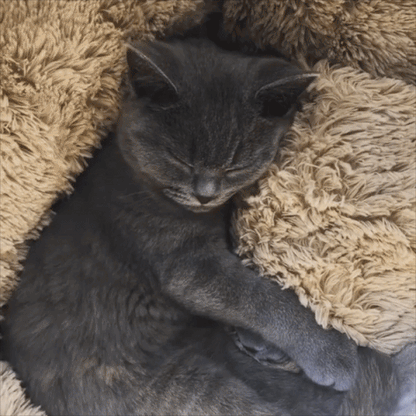 Round Pet Bed – Cozy Cushion for Cats & Small Dogs