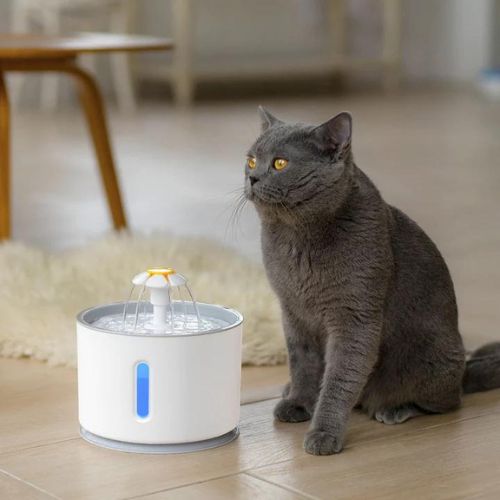 Cat Water Fountain – Pet Hydration with Continuous Flow