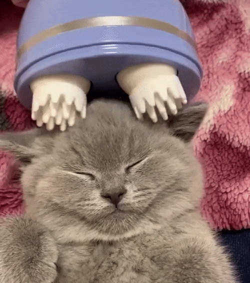 Electric Pet & Head Massager – Relaxation and Stress Relief