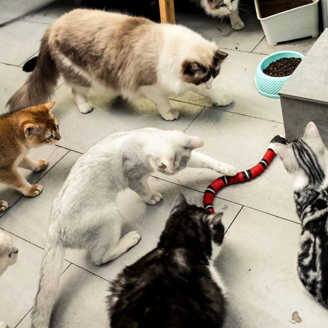 Interactive Snake Cat Toy – Realistic Smart Sensing Pet Toy