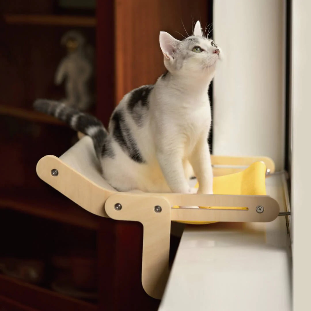 Adjustable Cat Window Perch – Secure Space-Saving Resting Spot