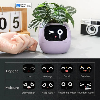 Smart Planter with Automatic Watering – AI Flowerpot & Digital Frame