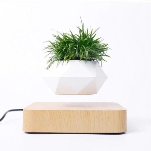 Levitating Flower Pot with 360° Rotation