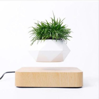 Levitating Flower Pot with 360° Rotation