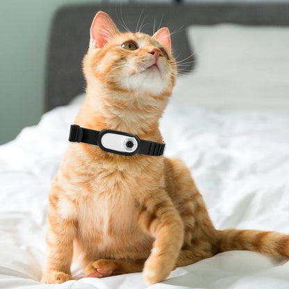 Camera Collar for Cats & Dogs – 1080p HD Pet POV Recorder