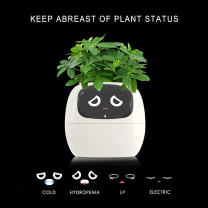 Smart Planter with Automatic Watering – AI Flowerpot & Digital Frame
