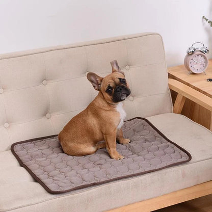 Pet Cooling Mat – Portable Non-Toxic Gel Pad