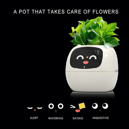 Smart Planter with Automatic Watering – AI Flowerpot & Digital Frame