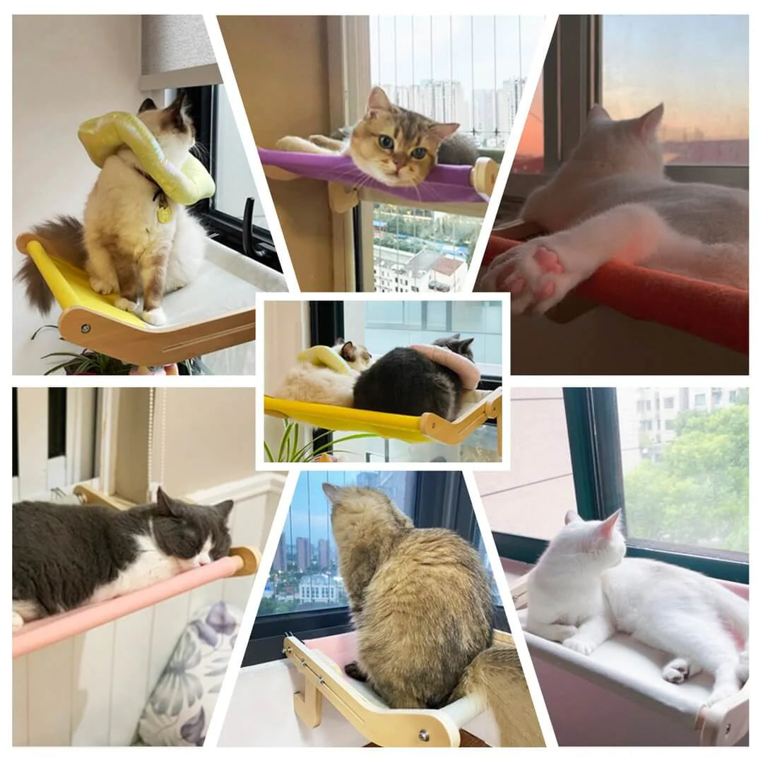 Adjustable Cat Window Perch – Secure Space-Saving Resting Spot