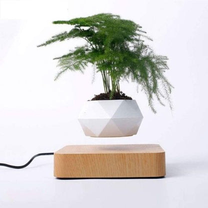 Levitating Flower Pot with 360° Rotation