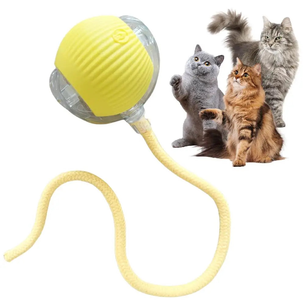 Automatic Rolling Ball with Tail Lamp – Smart Cat Toy