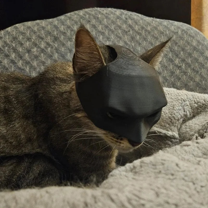 Bat Cat Mask – 3D Printed Superhero Costume for Cats