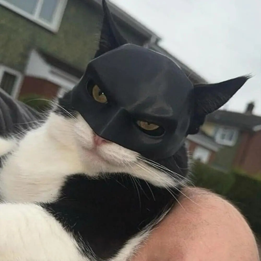 Bat Cat Mask – 3D Printed Superhero Costume for Cats