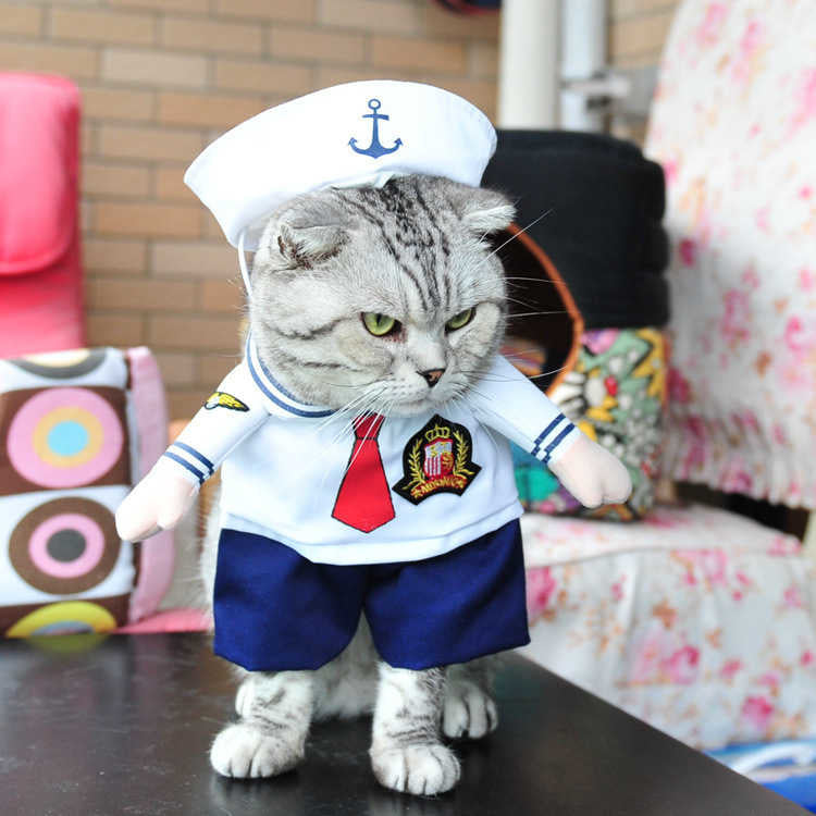 Funny Pet Costumes – Hilarious Halloween Outfits for Cats & Dogs