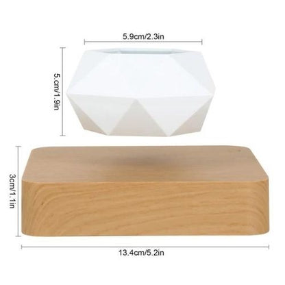 Levitating Flower Pot with 360° Rotation