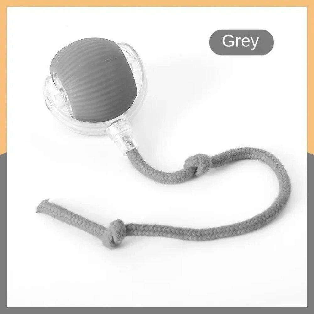 Automatic Rolling Ball with Tail Lamp – Smart Cat Toy