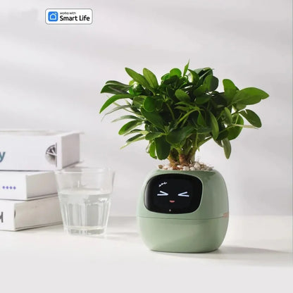 Smart Planter with Automatic Watering – AI Flowerpot & Digital Frame