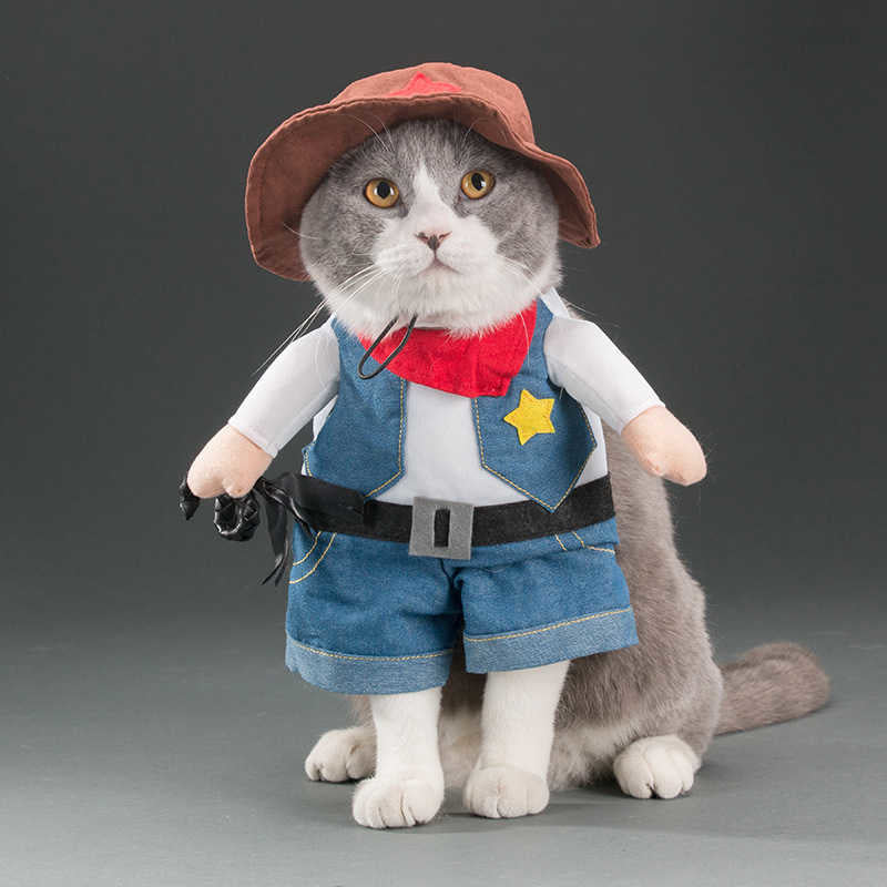 Funny Pet Costumes – Hilarious Halloween Outfits for Cats & Dogs