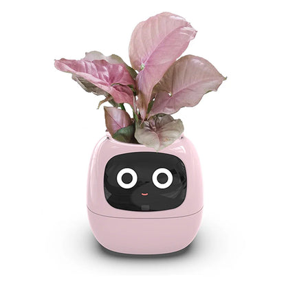 Smart Planter with Automatic Watering – AI Flowerpot & Digital Frame