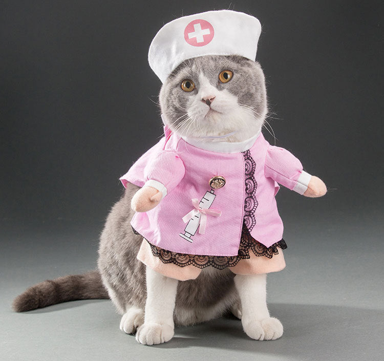 Funny Pet Costumes – Hilarious Halloween Outfits for Cats & Dogs