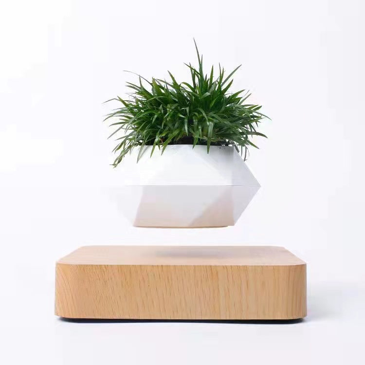 Levitating Flower Pot with 360° Rotation